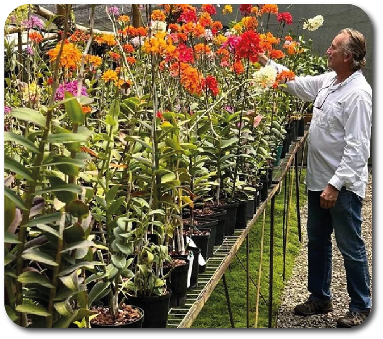 Tour Cafetero Potosí