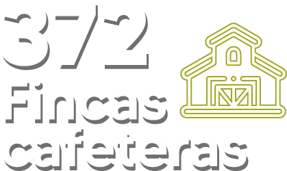 5 Veredas